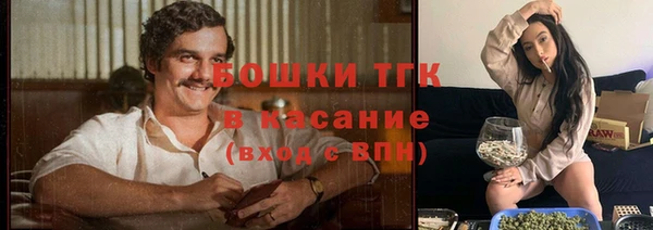 прущий лед Нея