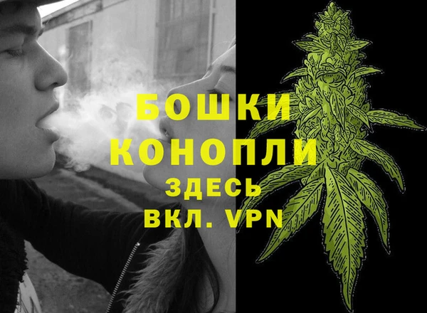 прущий лед Нея