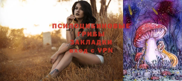 прущий лед Нея