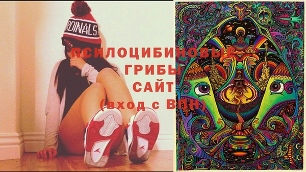 спайс Нефтегорск