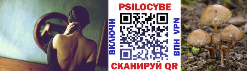 Псилоцибиновые грибы прущие грибы  сколько стоит  Нелидово 